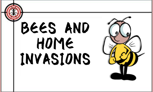 BEES-AND-HOME-INVASIONS