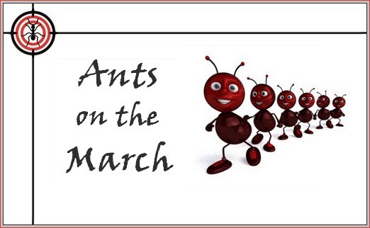 ants on the march