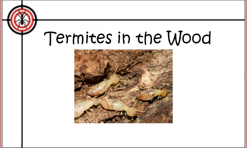 termites-featured