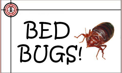 bed-bugs-featured