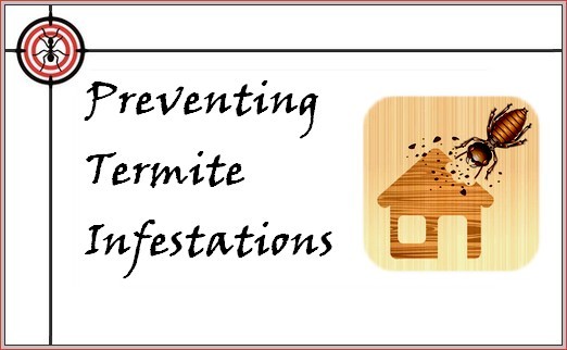 preventing termites