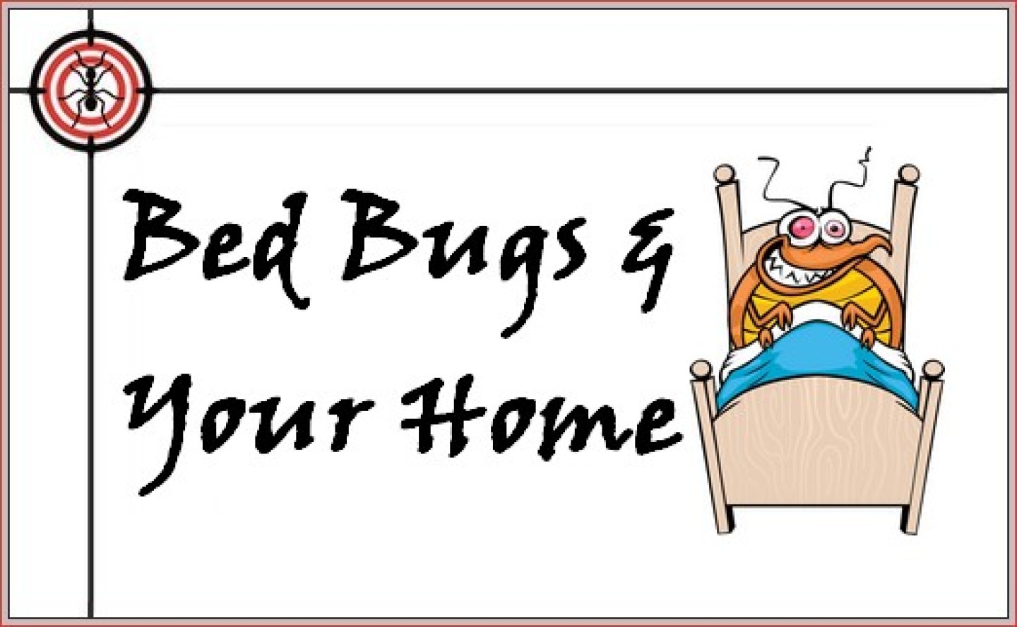 Bed Bugs and your home