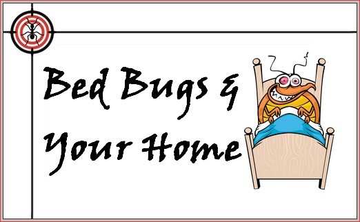 Bed Bugs and your home